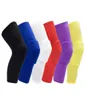 Wabe Sportsicherheitsbänder Volleyball Basketball Kniekissen Komprimierung Socken Knie Wraps Brace Protection Accessoires Single 6238040