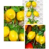 Party Decoration Simulation Artificial Fruit String for Restaurant El Home Garden Wedding Kitchen Life Props Drop Ship