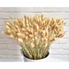 Decorative Flowers Tail Natural Plants Dried Grass Pennisetum Home Accents Decor Pastoral Hay Twist