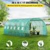 Walkin Tunnel Greenhouse 20 x 10 7 ft Plant House wzippered Door 12ロールアップ窓ガルバン化スチールフープグリーン240415