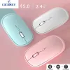 Möss W1 Pebble laddar trådlös mus Business Office Computer Accessories Silent Mouse Blue Pink White Mice