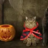 Cat Costumes For Cats Pet With Pumpkin Pattern Dog Clothes Cloak Shape Bat Add Hallowen