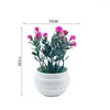 Fleurs décoratives mini plantes artificielles bonsaï fausse fleur fleur verte petit pot de bureau simulé en pot ornements pour décoration de jardin à la maison