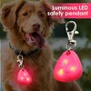 Colliers de chien cols légers imperméables pendentif en acier inoxydable Clip anti-perdant pour faire fonctionner le camping et l'escalade