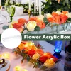 Vasi Rose Vase Table Home Desktop Flower decorazioni da sposa Clear il 10/10/14/16/18 Box Rectangular per regali Decorazione di buchi acrilici