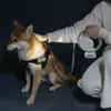 Colarinho de cachorro 3m coleira esticada com pet com cachorro luminoso de cachorro luminoso correndo chumbo para cães acessórios de produtos