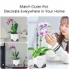 Pentole di orchidee meshpot da 5 pollici da 7 pollici con buco a doppio strato imitare la fioriera orchidea in ceramica fornisce una buona circolazione dell'aria 240415