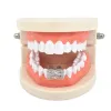 Jewelry Hip Hop Fang Cubic Zircon Number Teeth Grillz Bottom Teeth Caps Mouth Tooth Cosplay Jewelry