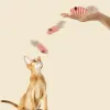 Toys False Mouse com Feather Tail Cat Toy construído em cascalho Multicolor Pet Supplies Mini engraçado tocando brinquedos gatos interativos gatinho