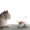 Supplies Cat Raised Stand Feeding Bowl Transparent Plastic Pet Food Water Feeder Bowl 15 Degree Tilted Design Neck Guard for Cats Dogs