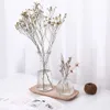 Glass Vase Living Mini Transparent Room Flowers Arrangement Decoration Hydroponic Dried Flower Bottle Creative