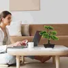 Flores decorativas para hombres decoración de la habitación simulación bienvenida pino pequeñas macetas de bonsai simuladas árbol