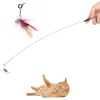 Toys 10pcs Random Color Bug Cat Toy Replacement for Funny Cat Stick Toy Feather Rod Teaser Pet Accessories