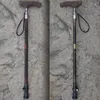 Pioneer Wood T Handschepen Walking Sticks voor toerisme Cane wandelen Noordse paal wandelkrukken Bar Ultralight 240412