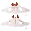 Cost Costumes Pet Christmas Accessories Costume Noël Santa Hat avec Bib Scarf Dog Rôle Play pour chiot chaton