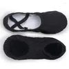 Tanzschuhe Ushine EU23-45 Professionelle Qualität Tuose Slipper Leinwand weicher Einzelbauch Yoga Gym Ballet Mädchen Frau Mann Ballerina