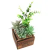 Fiori decorativi 1 set di succulento succulento artificiale Ornament Bonsai Office Home Office Faux