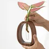 Вазы творческий ореховый орех с твердым деревом вазы