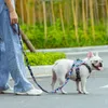 Köpek yakaları Truelove Pet tasma çiçek desenli polyester çoklu-postion sapı Yumuşak ve rahat dayanıklı TLL3112