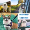 Sunglasses Dog Sunglasses Adjustable Summer Goggles for Small Medium Dogs UV Protection Pet Goggles Comfortable Puppy Glasses Pet Supplies