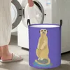 Tvättpåsar afrikanska meerkat stående upprätt ovanpå en cirkulär hämma förvaringskorg vattentäta vardagsrum leksaker