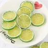 Party Decoration 20 PCS Imitation Slice Artificial Fruits Slices Simulation Ornament Plastic Fake Model