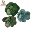 Decorative Flowers Simulated Succulent Plants Bonsai Jade Butterfly Without Flowerpot Natural Artificial Flower Tree Peony Cactus