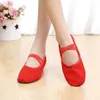 Dance Shoes Arrival Women's Canvas Leather Soft Bottom Square Heel Ladies Practice Ballet Dancing 4 Colors