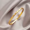 High-end luxe bangle geavanceerde gouden titanium stalen armband met zirkoon en diamant voor vrouwen klein ontwerp kleurloze luxe voortreffelijke exquise handwerk