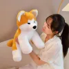 Bonecas de bonecas desenhos animados fofos akita cachorro luxuoso brinquedo shiba inu bonecas de animais de pelúcia acompanham o travesseiro de bebê para meninas presentes para crianças presentes