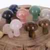 Statue Mini Natural Stones Mushroom Carved Decoration Flower Pot Room Ornament Fish Tank Decor 15*20 MM