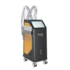 Vertical 360 Diamond Cryolipolysis Slimming Machine Ice Sculpture Body Contouring for Cellulite Reduction