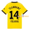 23 24 Dortmund Reus Reyna Sancho 50. Fußballtrikot