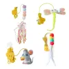 Toys Pet Toys Toys Elasticidade Tipo de porta pendurada retrátil Too interativo para Kitten Mouse Catnip Scratch Rope Toy Pet Supplies