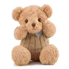 Custom Teddy Bear Plush Toy with Cloths