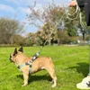 Collari per cani 1,5/2m Canvas Tela Non slip trazione addestramento a piedi Contrasto guinzagli per i guinzagli per piccoli grandi grandi cani di grandi dimensioni