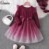 Meisjesjurken Ceeniu Girls Party Pink Pink Sleeve Birthday Princess Dress For Stars Mesh Children's Clothing