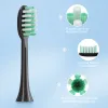 Cabeças de dentes de dentes de dentes sonoros elétricos carregam a prova d'água Sonic 5 modos Viagem de dente eletrônica 8 escovas de cabeça
