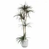 Kwiaty dekoracyjne 120 cm 180 cm Dracaena Symulacja zielona roślina żelaza drzewo od podłogi od podłogi