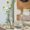Vasos vaso transparente vaso de flor borossilicato ornamentos hidropônicos de mesa hidropônica Plantas de recipiente Decoração da sala de estar da sala de estar
