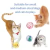 Toys Cat Toy Pet Ball Toy Cage Plush Rat Colorful Interactive Training Toys Kitten Puppy Mouse Cage Ball Cat Accessories Pet Supplies