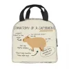 Taschen Anatomie einer Capybara Thermal Isoliertes Lunchbeutel Frauen Reseule Lunch Container für Kinderschule Kinder Aufbewahrungsschachtel Aufbewahrungsschachtel