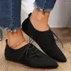 Chaussures décontractées Femmes Retro Mandons pointues en daim plat Lace Up Ladies Sneakers Femme Femme peu profonde Not Slip Walking