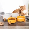 Cerramic Pet Bowl Plat avec bois sans déversement Pet Pet Céramique Double Bol pour chats Cat Aliments à eau Ficheur d'eau Small Chiens Pet Pet Bowl 240407