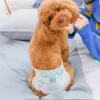 Shorts 10PCS Diapers for Dogs Disposable Pet Diapers Female Dog Physiological Pants Puppy Diaper Panties for Dogs Panpers De Perros