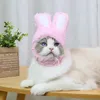 Kostiumy kota pluszowe uszy pałka na głowę dostarczanie mini kotów halloween świąteczne przyjęcie akcesorium na nakrycie głowy dla
