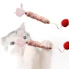 Toys Cat Nettoyage de dents Toys Natural Matatabi Pet Snacks bâtons avec corde de coton Silvervine Feather Animal Interactive Toys