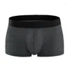 Underpants Boxer Panties Underwear Trunk Male Boxers Black Cotton Shorts Man Sexy Plus Size High Quality For Men