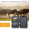 Kameror Night Vision Hunting Trail Camera Outdoor Motion Activated PIR Sensor Hunting Cameras Photo Traps Wildlife Camera IP65 HC801A