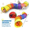 Toys Cat Tunnel Sshape Cat Tunnel Pet Tube Complapbable Играйте игрушечные крытые игрушки на открытом воздухе для упражнений с укрытием тренировок и бега